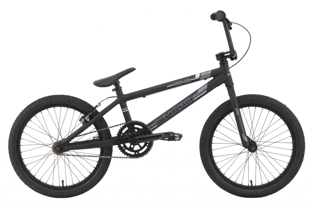 scott scale review 2019